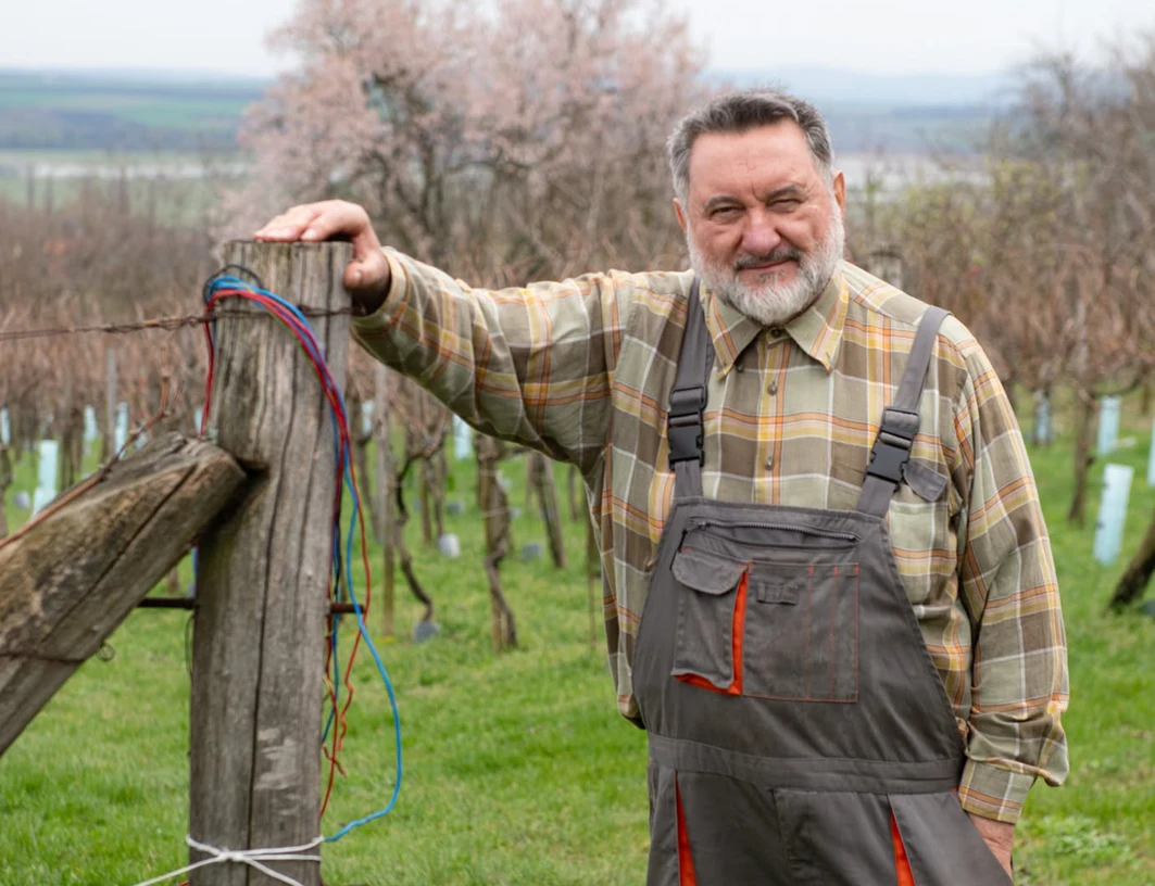 Portré a csákvári szőlősorok között
